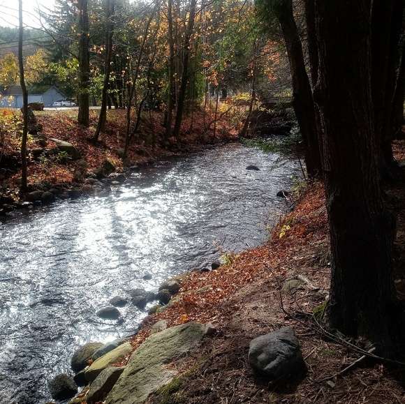 Meet your Posher, Rebel - Picture 3 of 8